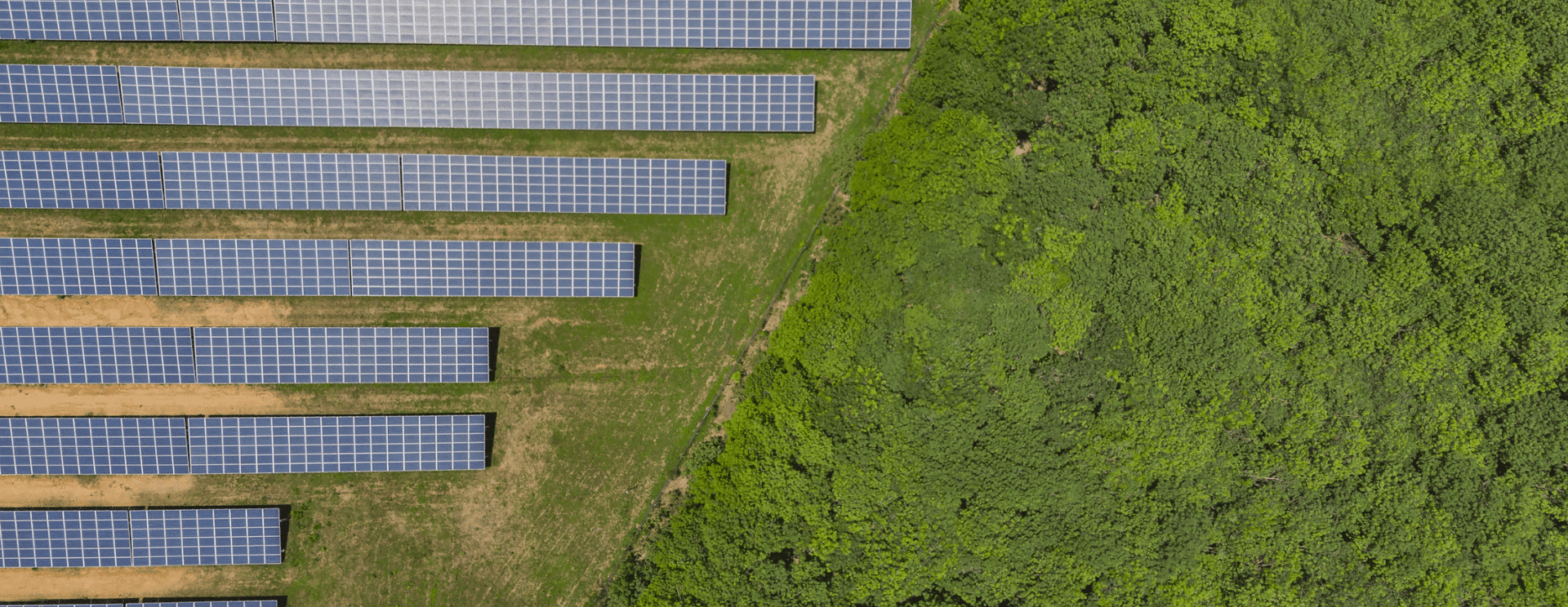 Decorative Background Image